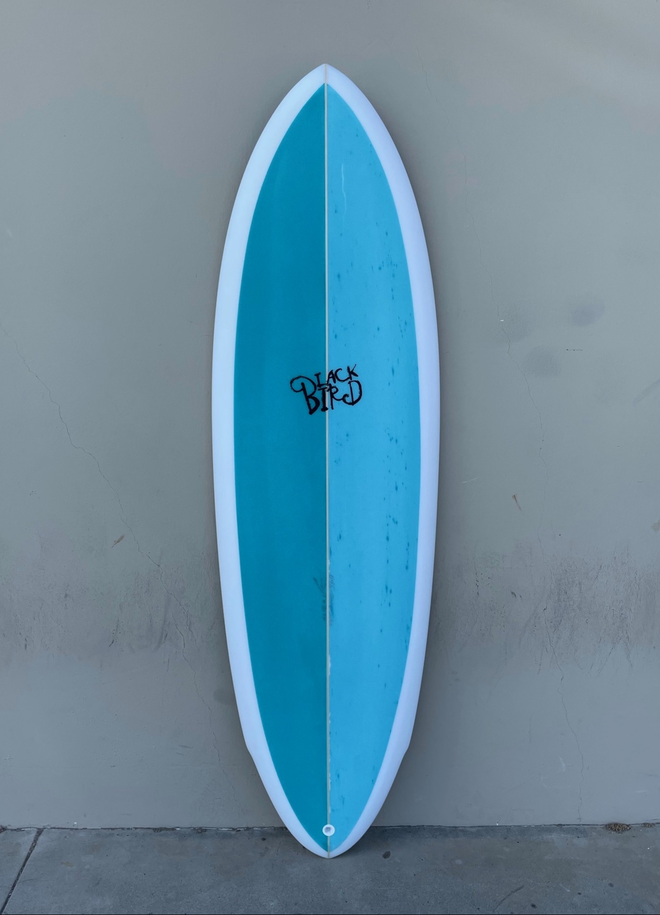 Blackbird Surfboards | Custom Handcrafted Surfboards
